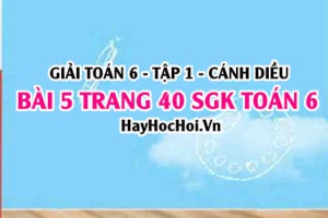 Giải bài 5 trang 40 Toán 6 Tập 1 SGK Cánh Diều